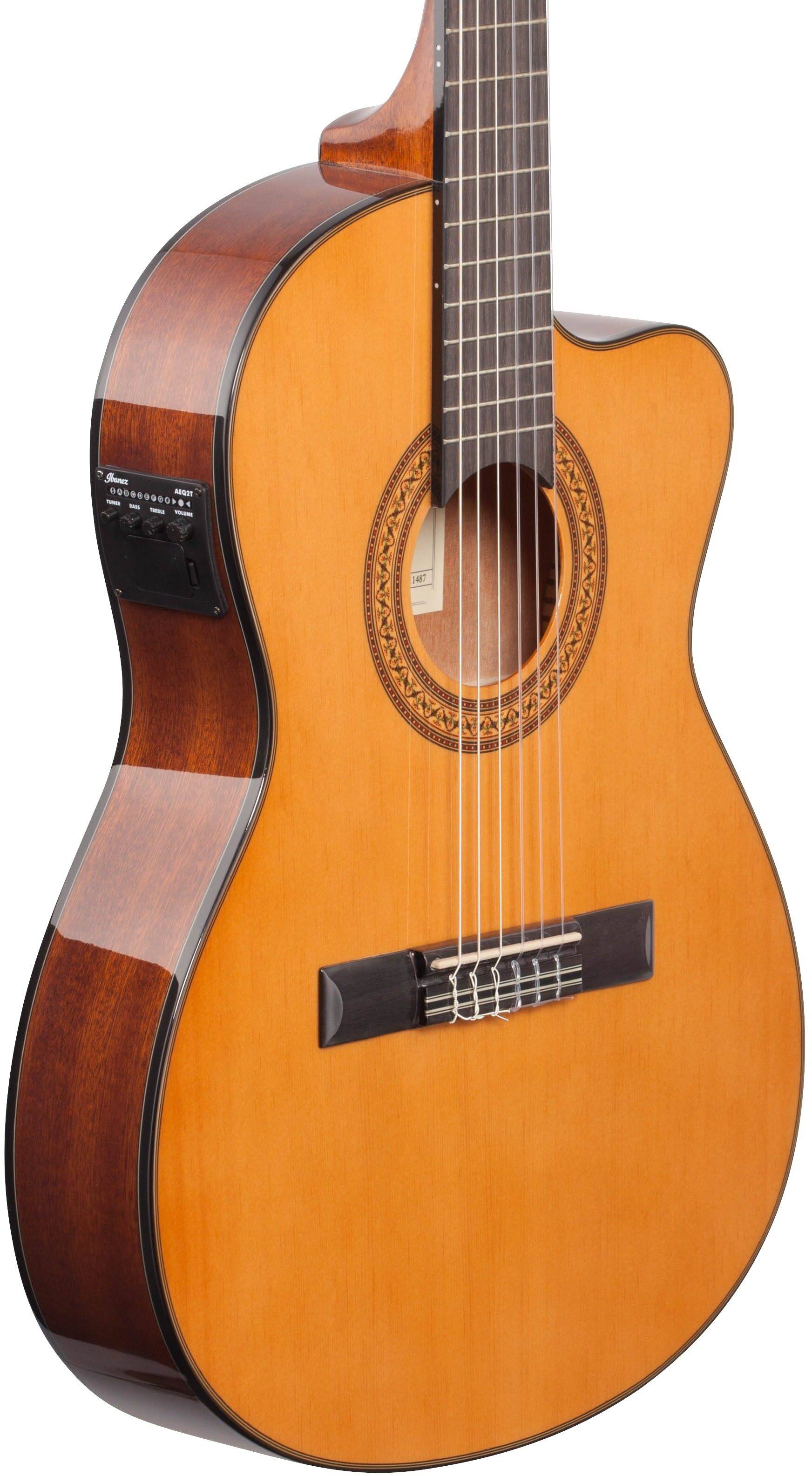 アイバニーズ AEQ2T